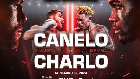 Canelo Vs Charlo Highlights 2024 - Wilow Lisetta