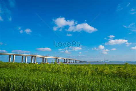 Shanghai Yangtze River Bridge Picture And HD Photos | Free Download On ...