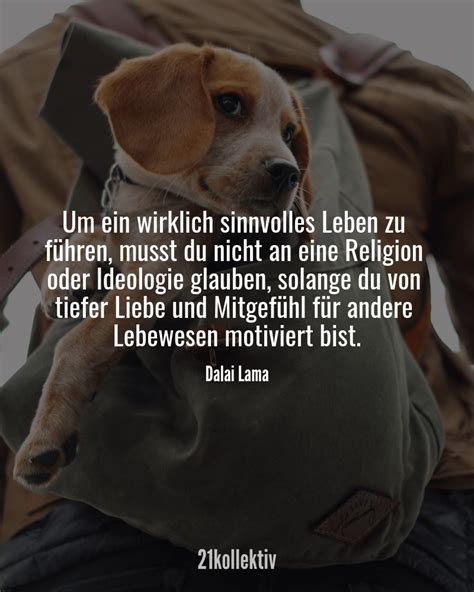 21 Inspirierende Zitate Und Lebensweisheiten Vom Dalai Lama