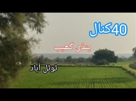 Agriculturel Land For Sale In Punjab Pindigheb Farm Land For Sale Near