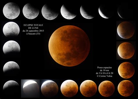 Observation spéciale Eclipse totale de Lune Rencontres et évènements