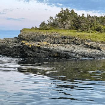 Dildo Newfoundland And Labrador 1000 Towns Of Canada