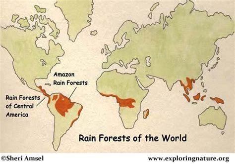 Amazon Jungle Map