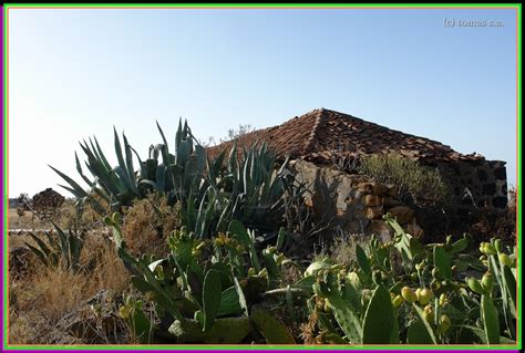 Tenerife Senderos Tenerife Senderos Arona Ladera Norte De