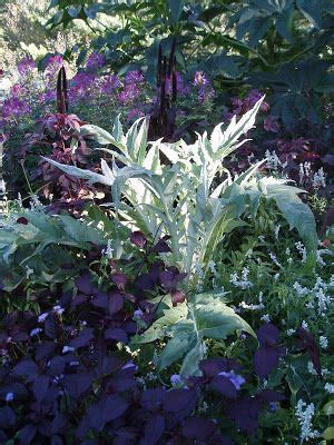 Cool Cardoon Cynara Cardunculus Rotary Botanical Gardens In 2024