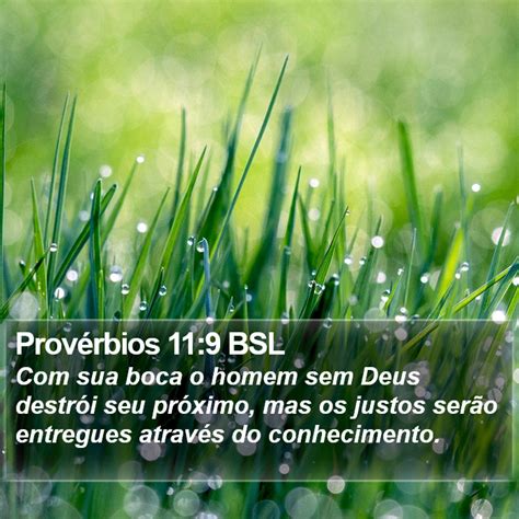 Provérbios 11 9 BSL sua boca o homem sem Deus destrói seu