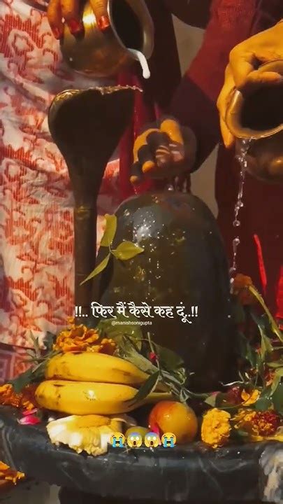 🕉️🌿 ️मेरे हर दिन की शुरुआत तो आप से होती हैं महादेव🕉️☘️🥀mahadevstatus