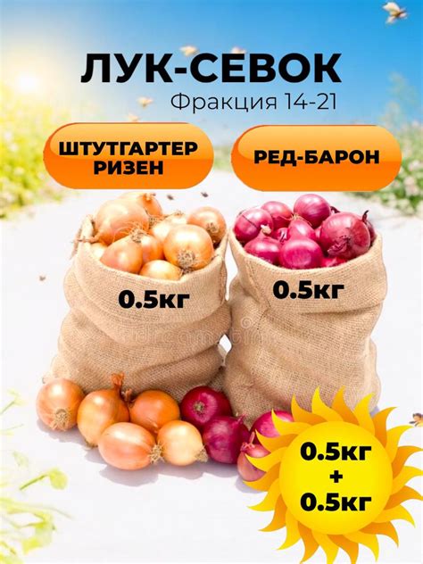 Лук севок для посадки на репку и зелень 2в1 купить на OZON по низкой ...