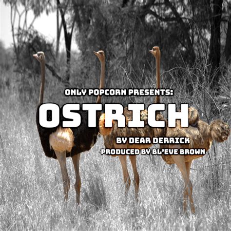 Stream Ostrich Clean Version By Dear Derrick Listen Online For Free