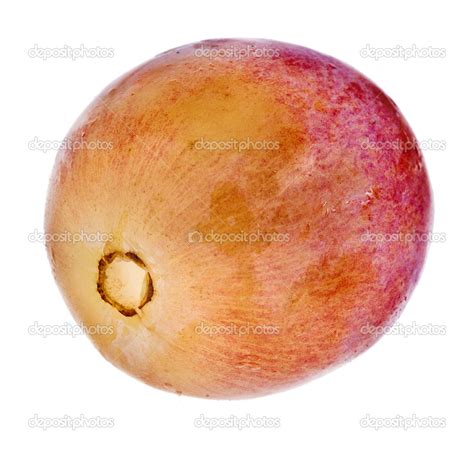 Single grape on white — Stock Photo © Madllen #15379851