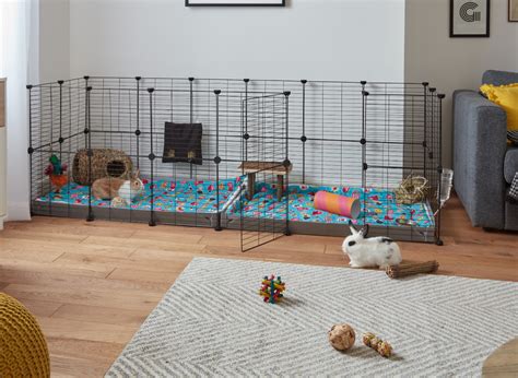 Choosing the Perfect Home for Your Rabbit: Top 10 Features of an Indoor ...