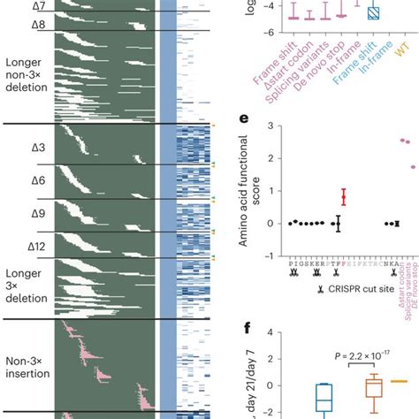 Annotating functional protein domains in BRCA2 using CRISPR-mediated ... 