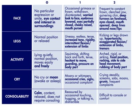 Pediatric Assessment And Application Of PAT Tool Flashcards Quizlet