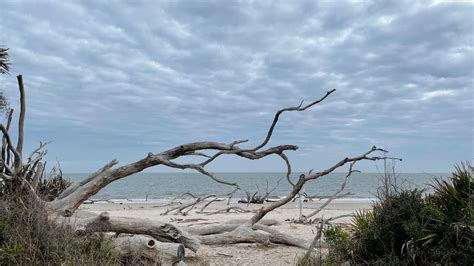 Happyly: Big Talbot Island State Park