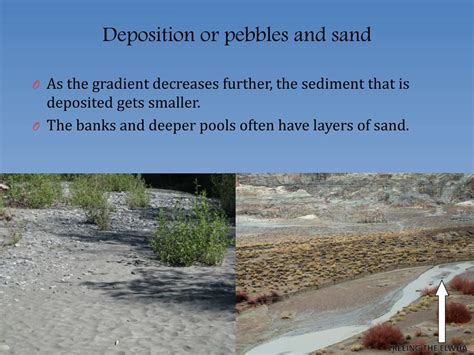 PPT - Sediment Deposition and River Structures PowerPoint Presentation ...