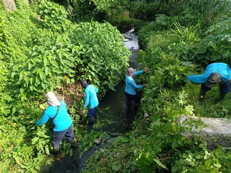 Dinas PUPR Kota Denpasar Kembali Lakukan Aksi Bersih Sungai Dan