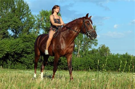 Jeune Femme Montant Le Cheval De Trakehner Image Stock Image Du Ferme