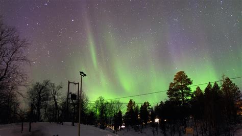 Beautiful green and red northern lights behind a forest 20788801 Stock ...