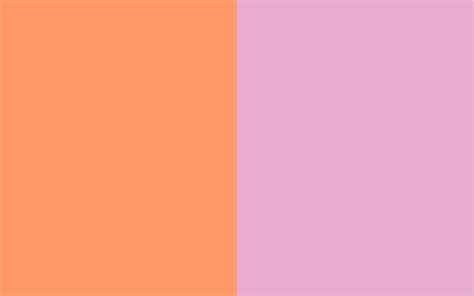 Pink And Orange Backgrounds Wallpapersafari