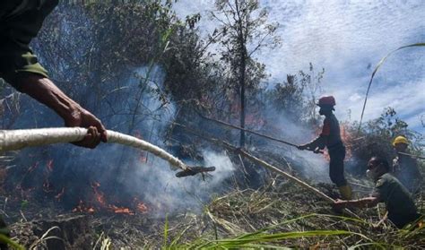 Bmkg Titik Panas Terdeteksi Melonjak Di Sumatra Utara Del Fm