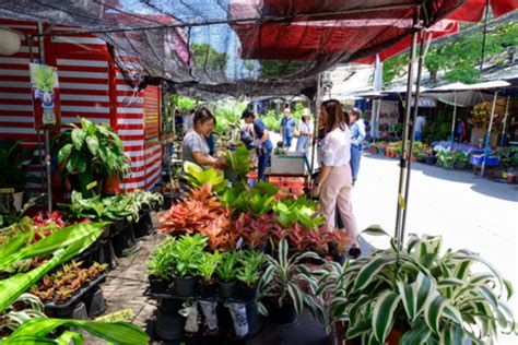 Chatuchak Market: Bangkok's Famous Weekend Market - Expique's Guide