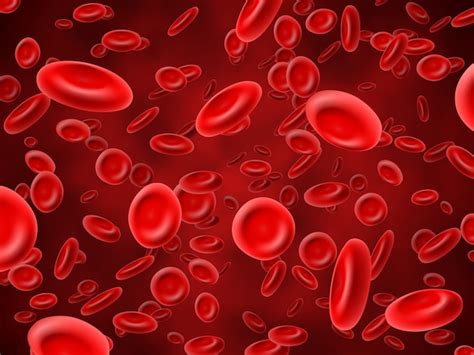 Red Blood Cells Background Vector Premium Download