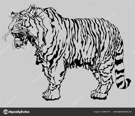 Tiger Standing Open Mouth Side View Stock Vector By ©ladzerin 538855138