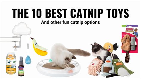 The 10 Best Catnip Toys (And Other Options)