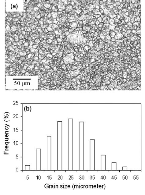 A Austenite Grain Structure In The Reheated 1273 K 1 Hr And