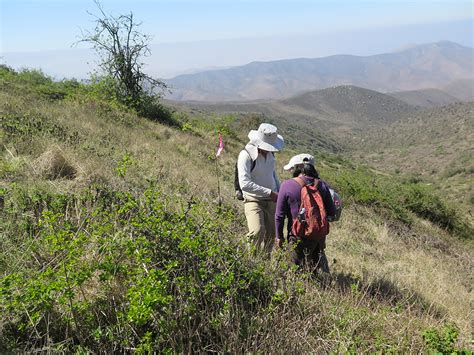 Científicos plantean nuevas formas de recuperar bosques tropicales