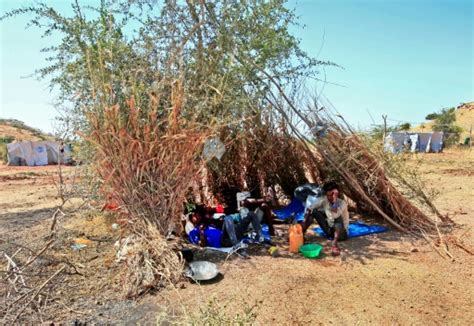 'Huge' challenge welcoming Tigray refugees in Sudan: UN official