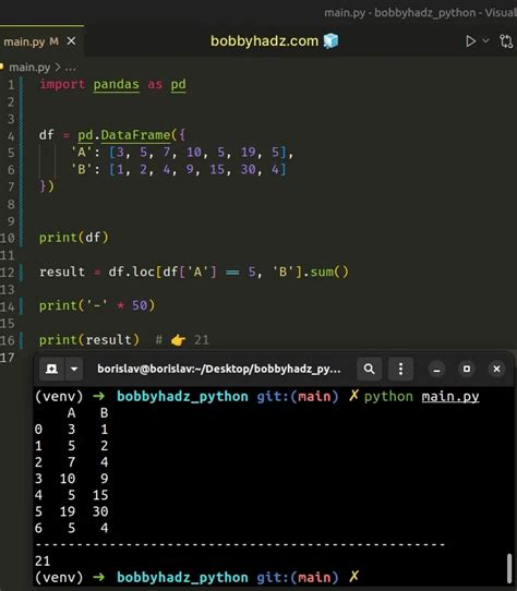 Pandas Sum The Values In A Column That Match A Condition Bobbyhadz