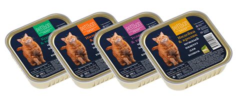 Корм Petibon для кошек: обзор состава, отзывы