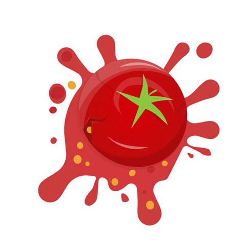 Rotten Tomato Illustrations Royalty Free Vector Graphics And Clip Art