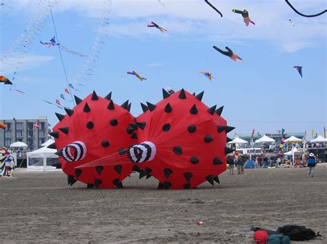 Wildwoods International Kite Festival — Sky Festival Productions