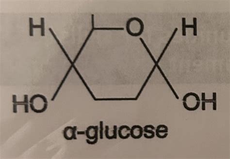 Biological Molecules Flashcards Quizlet