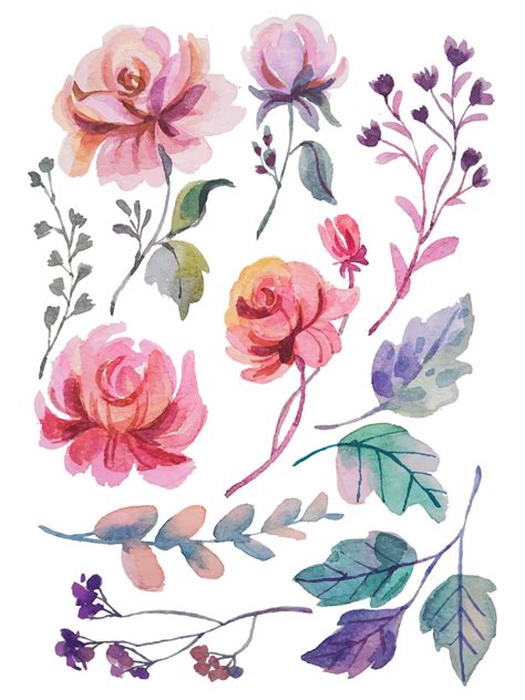 Watercolor Flower Elements Clipart 11954380 Vector Art At Vecteezy