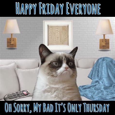 Happy Friday Eve Cat Meme