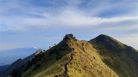 Kawasan Hutan Taman Nasional Gunung Merbabu Terbakar Tribunnews