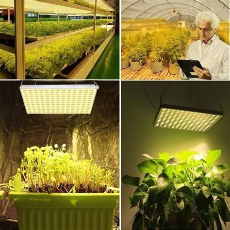 Lampe Plante LED Lampe De Croissance Horticole 75W 169 LEDs Spectre