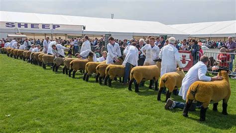 9 of the best pictures from the Balmoral Show - Farmers Weekly