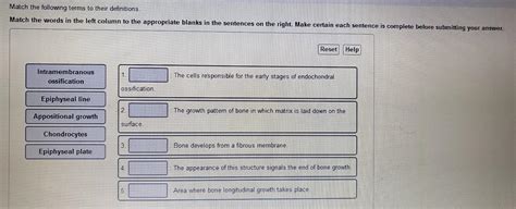 Solved Match The Words In The Left Column To The Appropriate Chegg