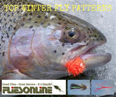 Articles 02 Top Winter Trout Flies For Uk Fishing