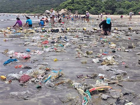 微塑膠充斥海洋 鮮魚變「膠魚」 170種海洋生物體內含有 晴報 港聞 新聞頭條 D160707