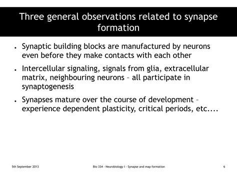 PPT - Synapse formation PowerPoint Presentation, free download - ID:3366323