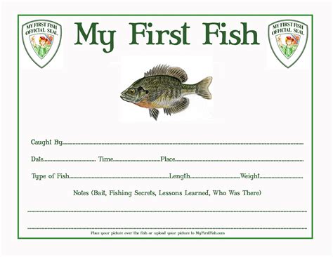 Book Gallery – My First Fish