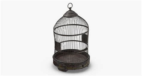 Old Bird Cage