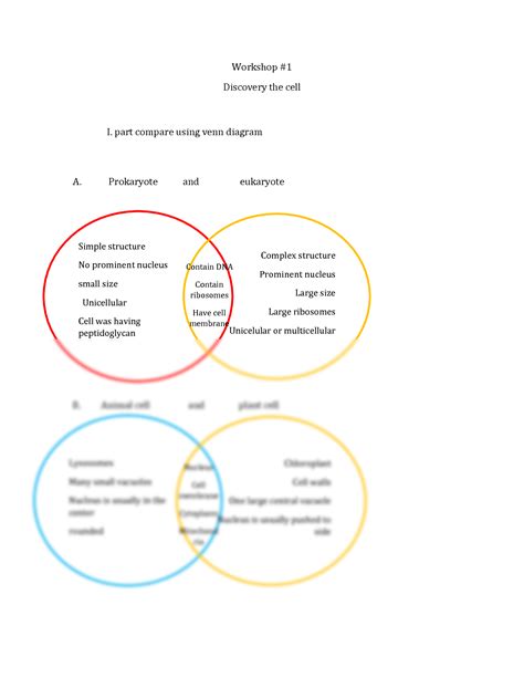 Animal Cell Vs Plant Cell Venn Diagram | Serangga's Blog