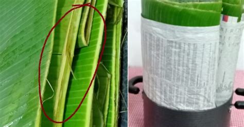 Tip Simpan Daun Pisang Agar Kekal Hijau Segar Tanpa Letak Dalam Peti