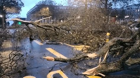 La tempête Ciaran en images